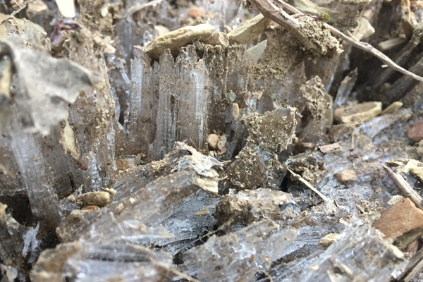 Close up of frozen water and earth