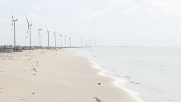 Wind turbines on coastline