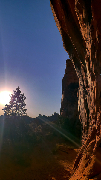 Pine Tree Arch at sunrise