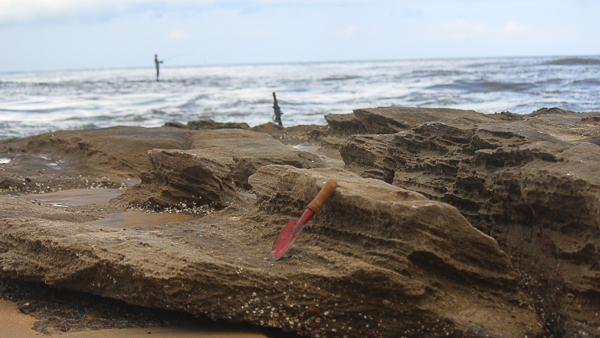 Ilmenite Rich Beach Rock