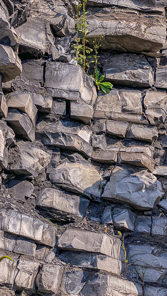 Grey limestone outcrop