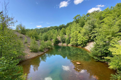 Pennsylvania stream impacted by acid mine drainage.