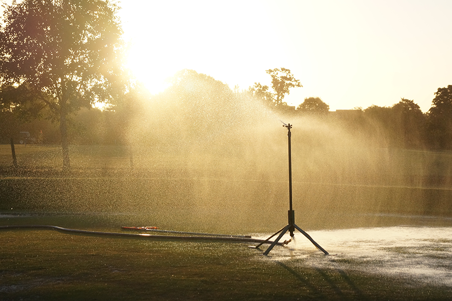 Water sprinkler in yard