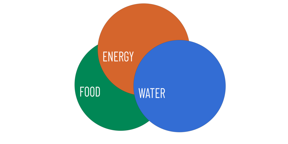 Food, Energy, Water logo