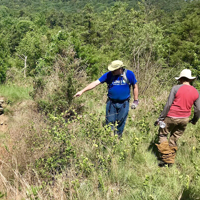 Research in the field